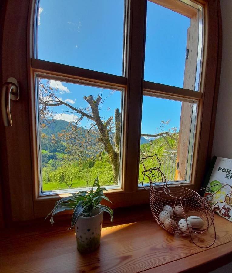 B&B Chalet Dolomiti Sant'Orsola エクステリア 写真