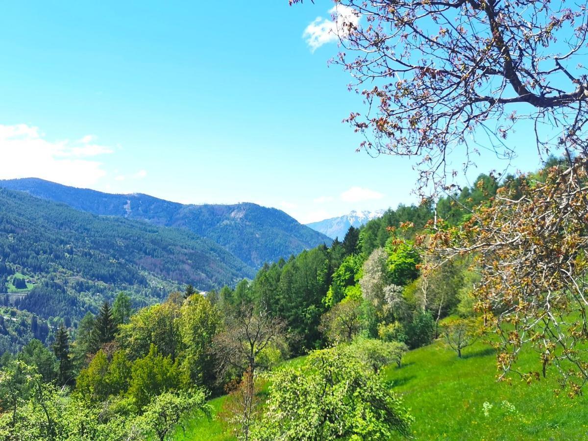 B&B Chalet Dolomiti Sant'Orsola エクステリア 写真