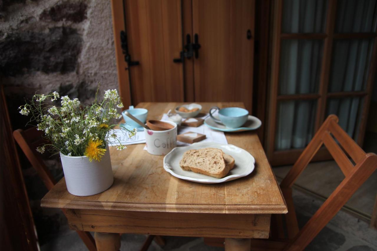 B&B Chalet Dolomiti Sant'Orsola エクステリア 写真