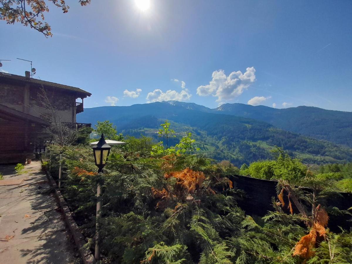 B&B Chalet Dolomiti Sant'Orsola エクステリア 写真