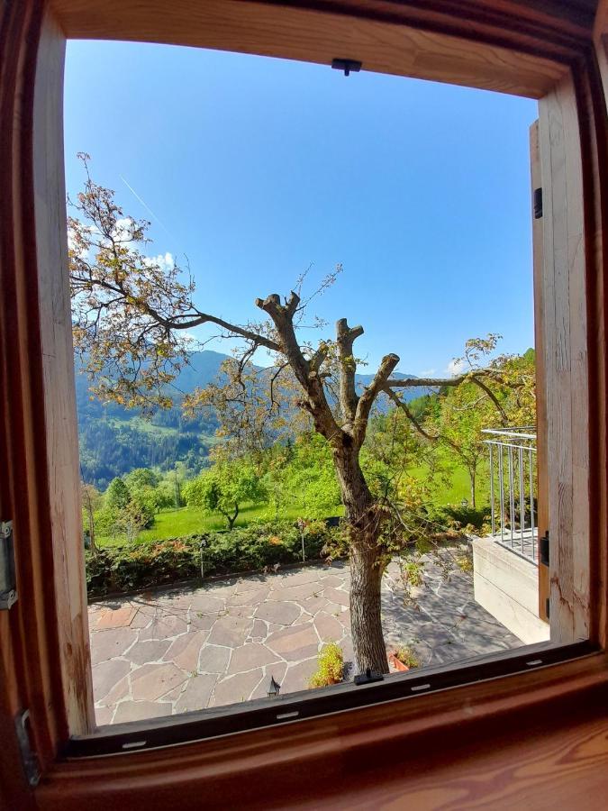 B&B Chalet Dolomiti Sant'Orsola エクステリア 写真