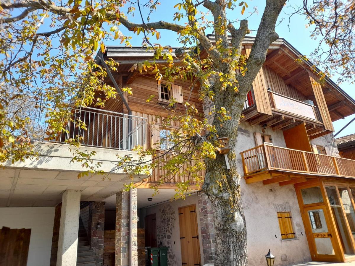 B&B Chalet Dolomiti Sant'Orsola エクステリア 写真