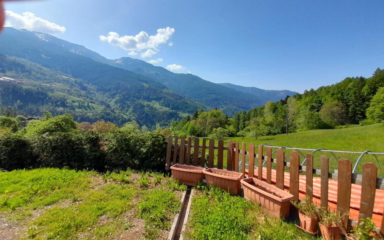 B&B Chalet Dolomiti Sant'Orsola エクステリア 写真