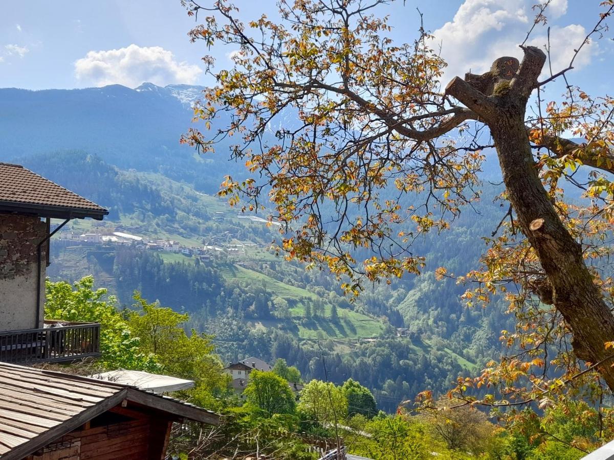 B&B Chalet Dolomiti Sant'Orsola エクステリア 写真