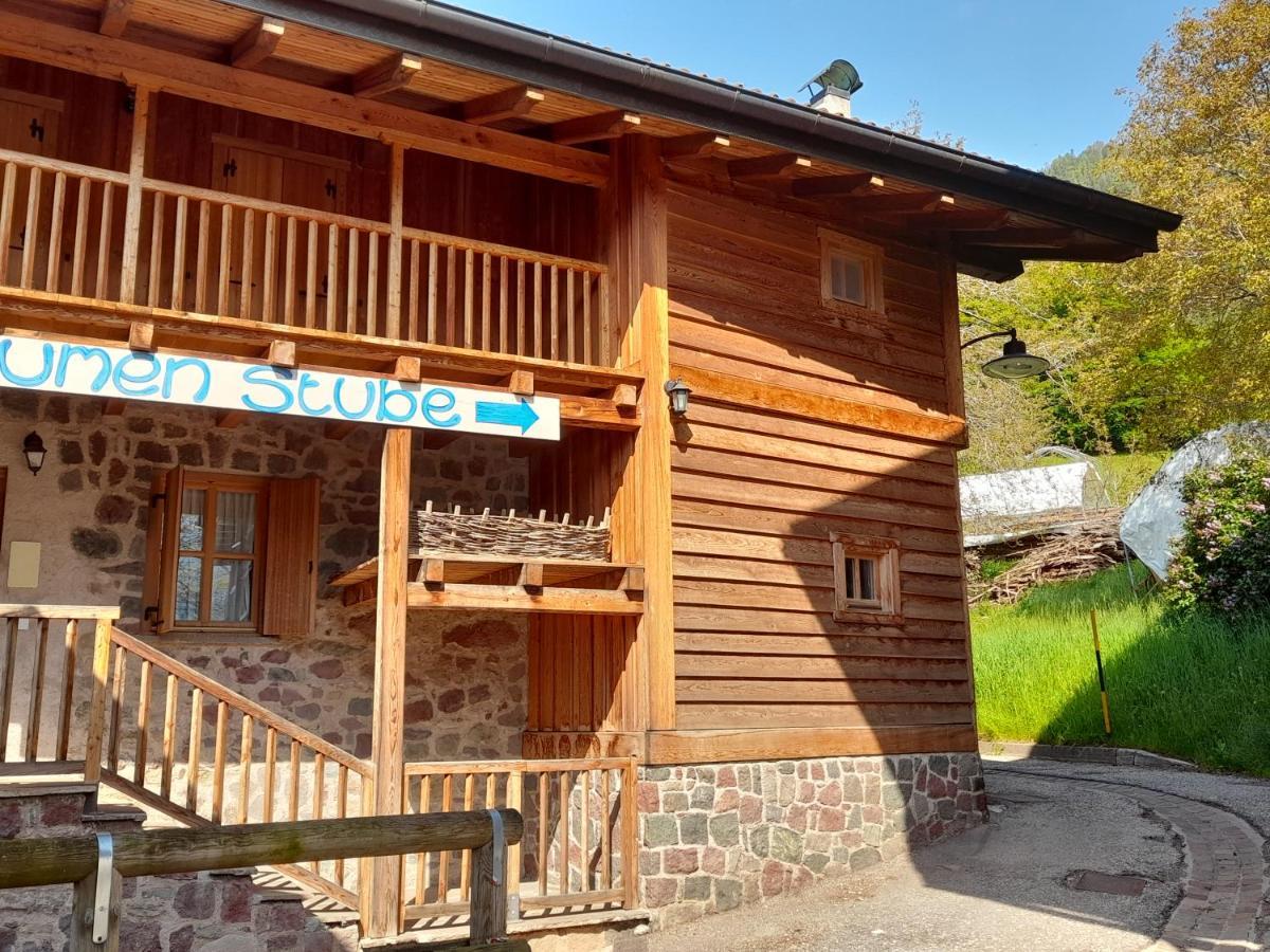 B&B Chalet Dolomiti Sant'Orsola エクステリア 写真