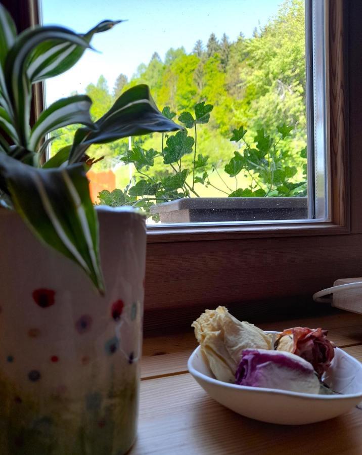 B&B Chalet Dolomiti Sant'Orsola エクステリア 写真