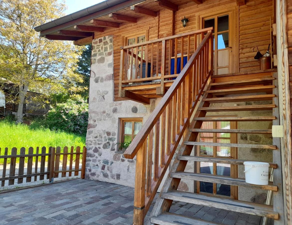 B&B Chalet Dolomiti Sant'Orsola エクステリア 写真