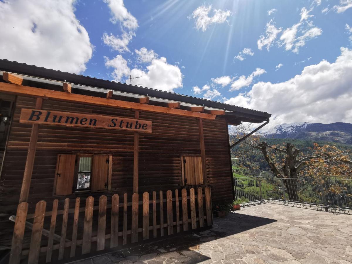 B&B Chalet Dolomiti Sant'Orsola エクステリア 写真