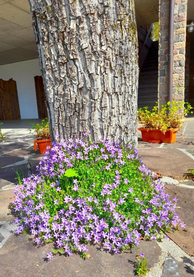 B&B Chalet Dolomiti Sant'Orsola エクステリア 写真
