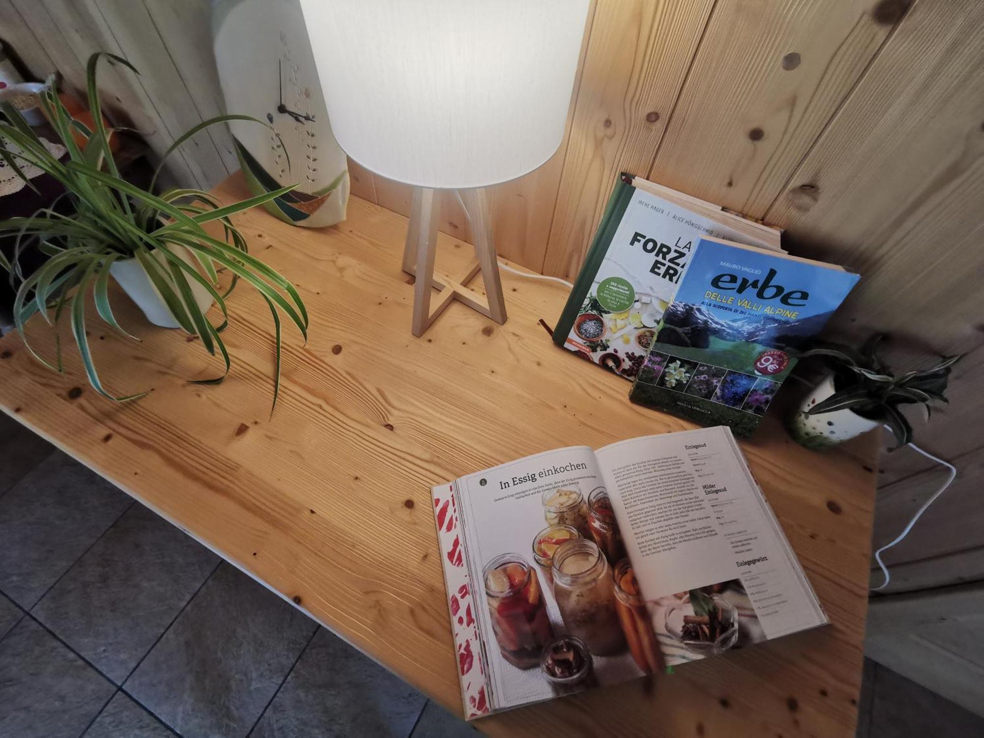 B&B Chalet Dolomiti Sant'Orsola エクステリア 写真