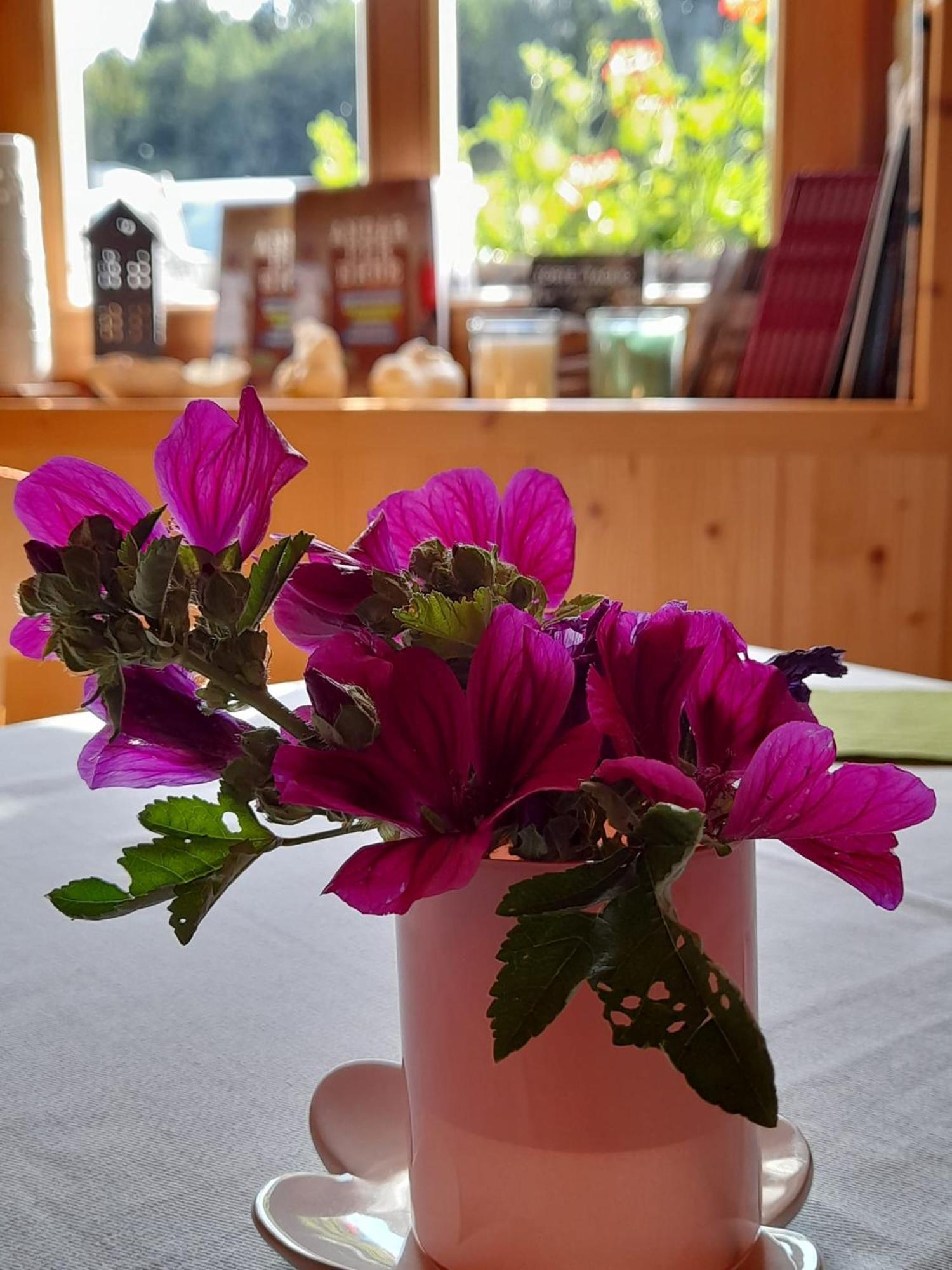 B&B Chalet Dolomiti Sant'Orsola エクステリア 写真