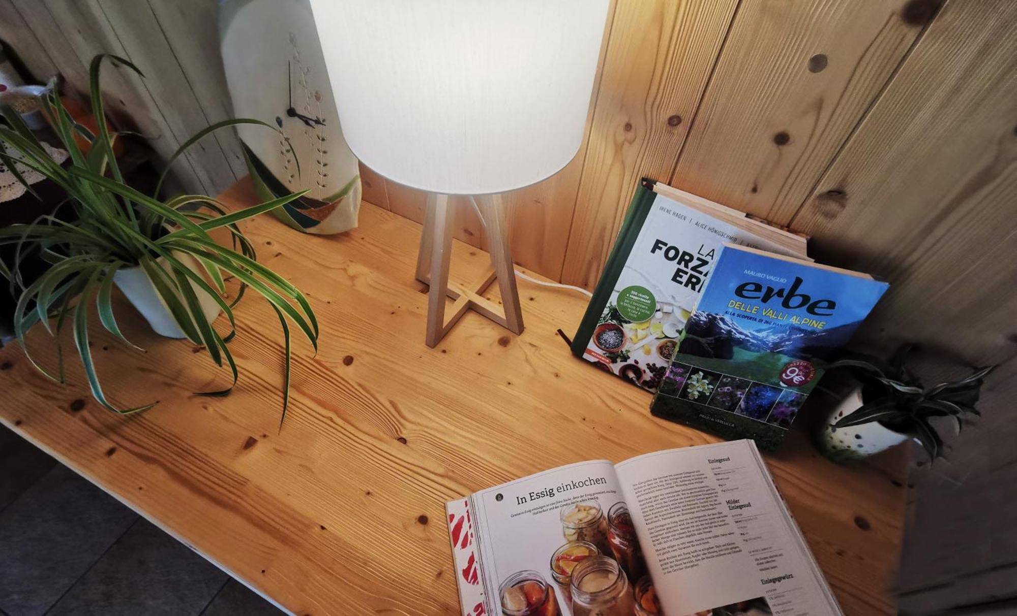 B&B Chalet Dolomiti Sant'Orsola エクステリア 写真